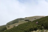 18. Vide se planinari na vrhu, još kroz klekovinu i stigosmo